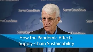 How the Pandemic Affects Supply-Chain Sustainability