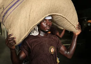 Bitter Sweets: Inside Big Chocolate’s Child Labor Problem