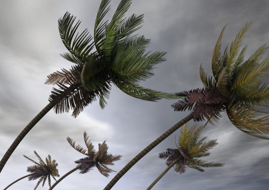 Hawaii's Ports Brace for Hurricane Lane