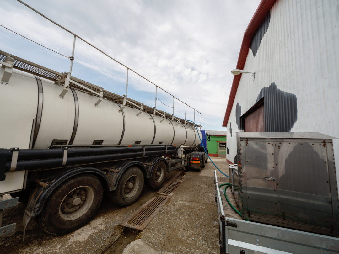 Organic Dairy Producer Milks TMS for Supply Chain Optimization