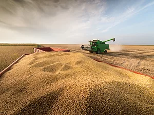 Soy Trade 
