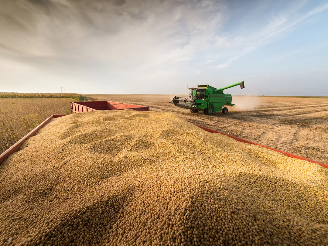 Soy Trade