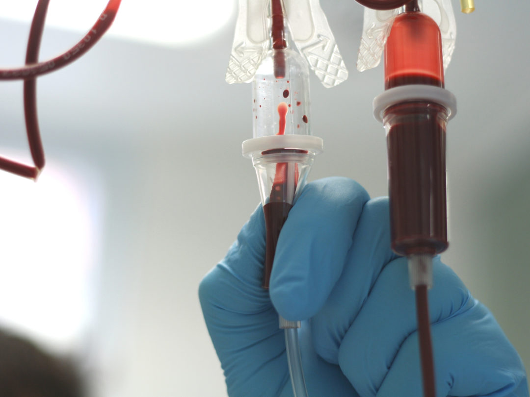 China Blood Boom Spurs Buying Binge by Top Global Producers