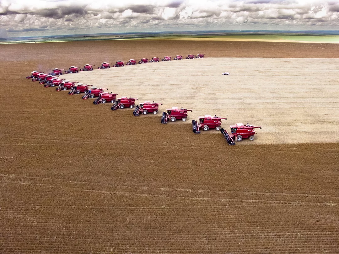 When It Comes to Soy, the Trade Truce Is Working in China’s Favor