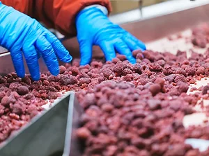 FDA May Call Back More Staff to Check ‘Riskiest’ Food Products