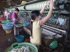 Fighting Corruption in Global Supply Chains: A Report Card