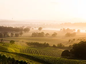 Trade Wars, Tech and Climate Change: Seven Ways Wine Will Evolve in 2019