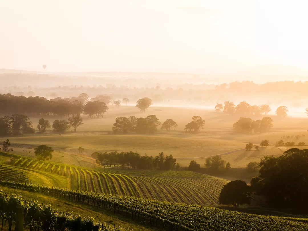 Trade Wars, Tech and Climate Change: Seven Ways Wine Will Evolve in 2019