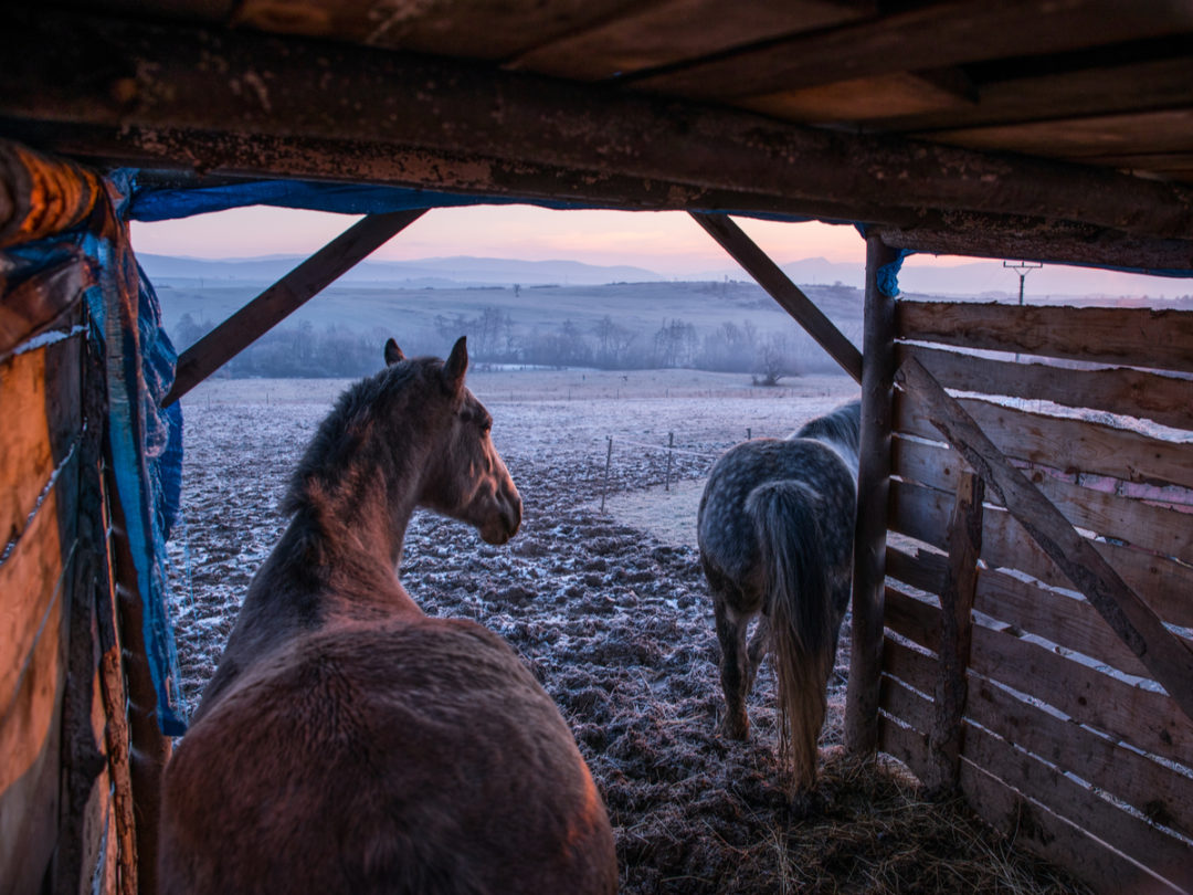 Farmers Forge Ahead as Cold Snap Freezes America's Midwest