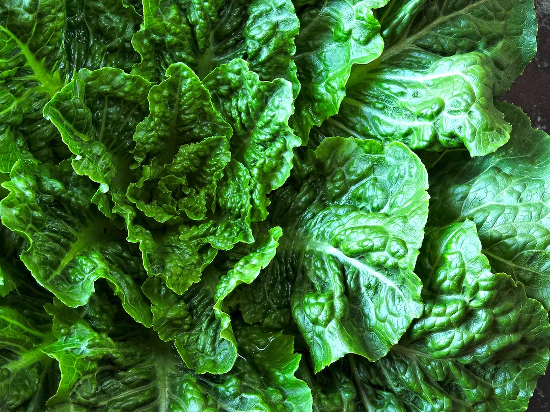 How to Minimize Damage From Foodborne Outbreaks Before They Happen