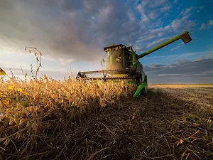 Forecast for U.S. Ag Exporters: Continued Pain