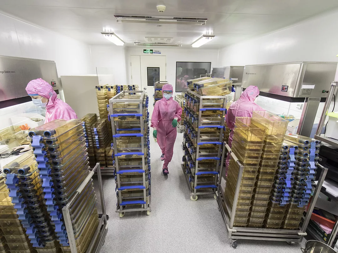 Nine Ways to Transform Your Supply Chain Through Digital Network Platforms