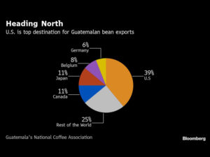 Coffee Growers in Crisis Face New Blow From Trump Tariff Threat
