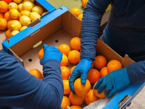 Changing Climate May Lead to Food Shortages, UN Report Warns 