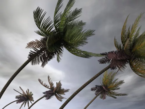Tropical Storm Dorian Gains Steam as It Powers Toward Barbados