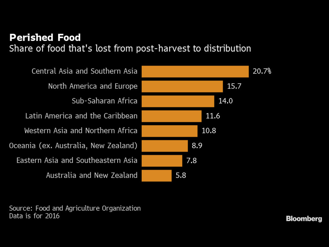 The World Loses $400 Billion of Food Before It Reaches Stores