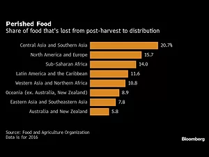 The World Loses $400 Billion of Food Before It Reaches Stores