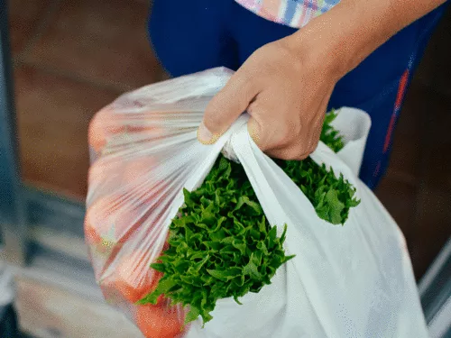 Kroger Brings Farming to Its Stores in Push to Get Greener