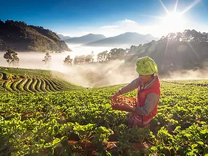 How Companies Can Build Ethical Supply Chains on a Global Scale