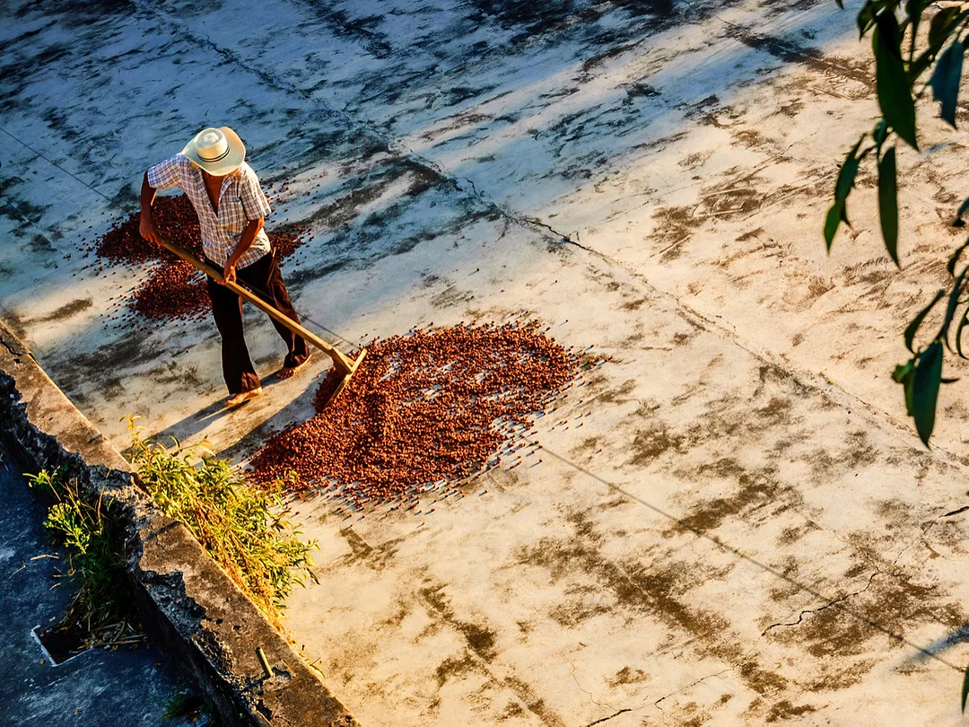 What to Watch for in Commodities in 2020