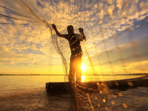 The Rise of Blockchain in Seafood Traceability