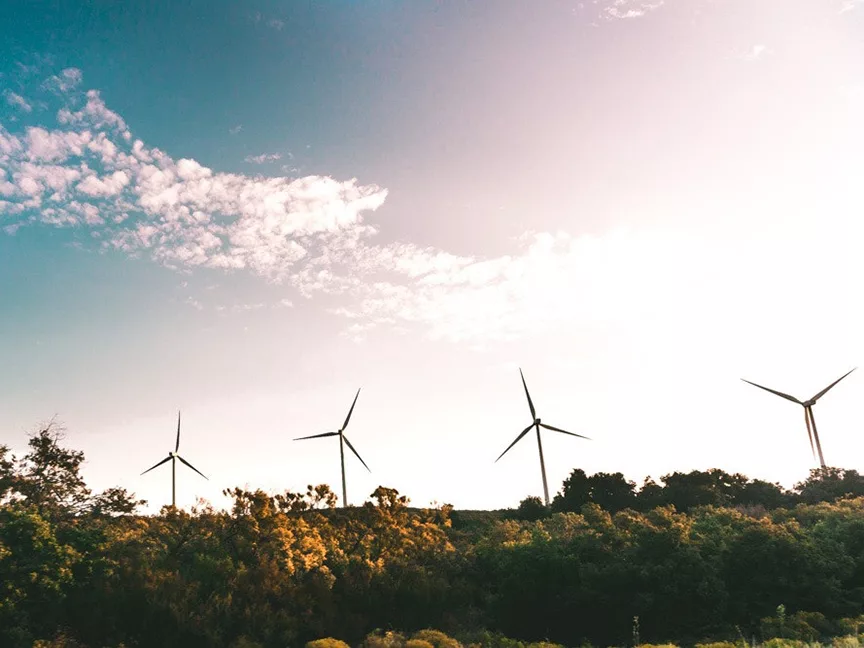 For All the Talk About Sustainable Investing, Nobody Knows What It Means