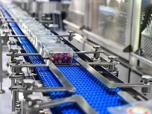 How Sustainable Strategy Fits Into the Digital Revolution