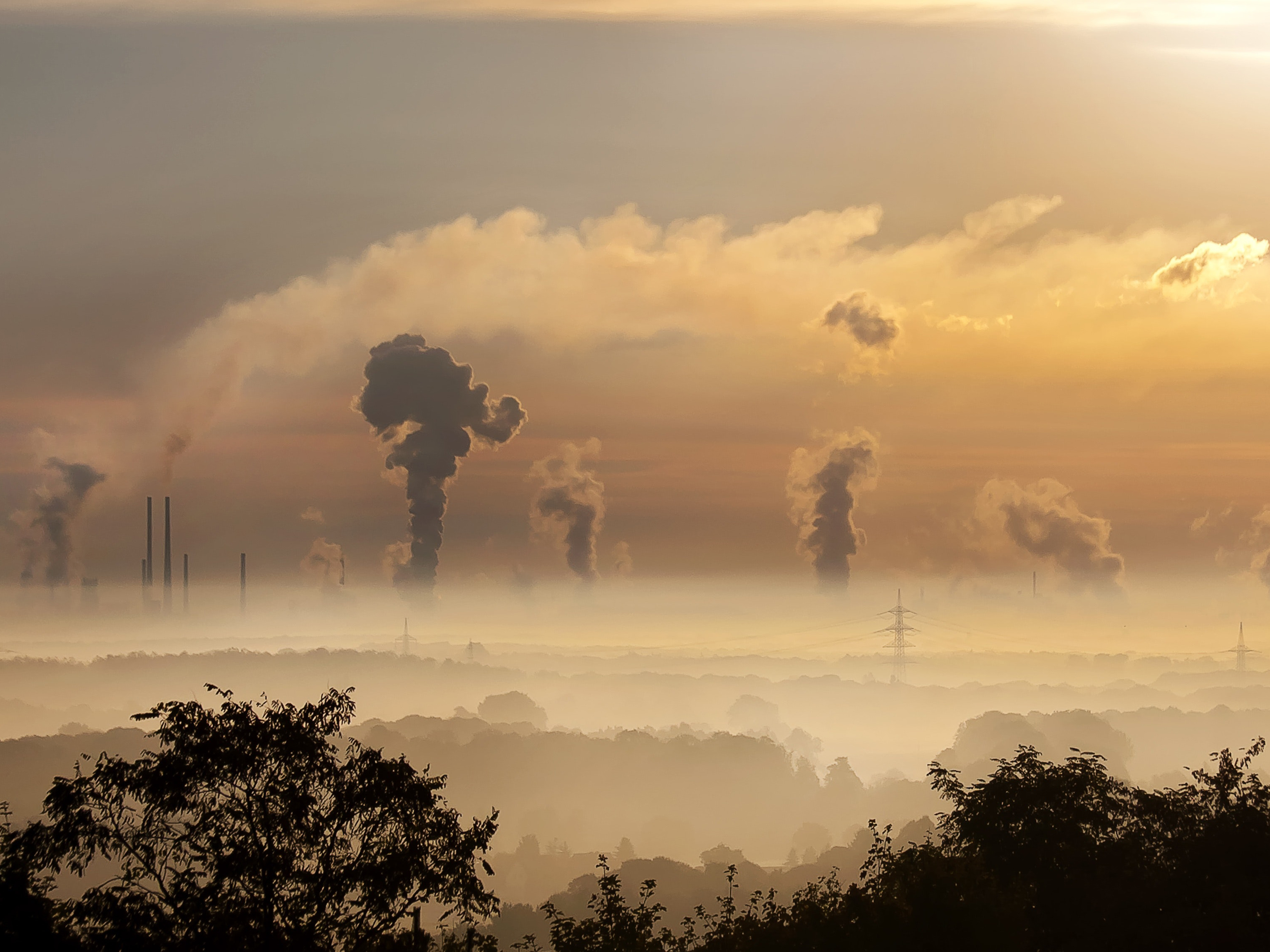 Global Supply Chain Emissions