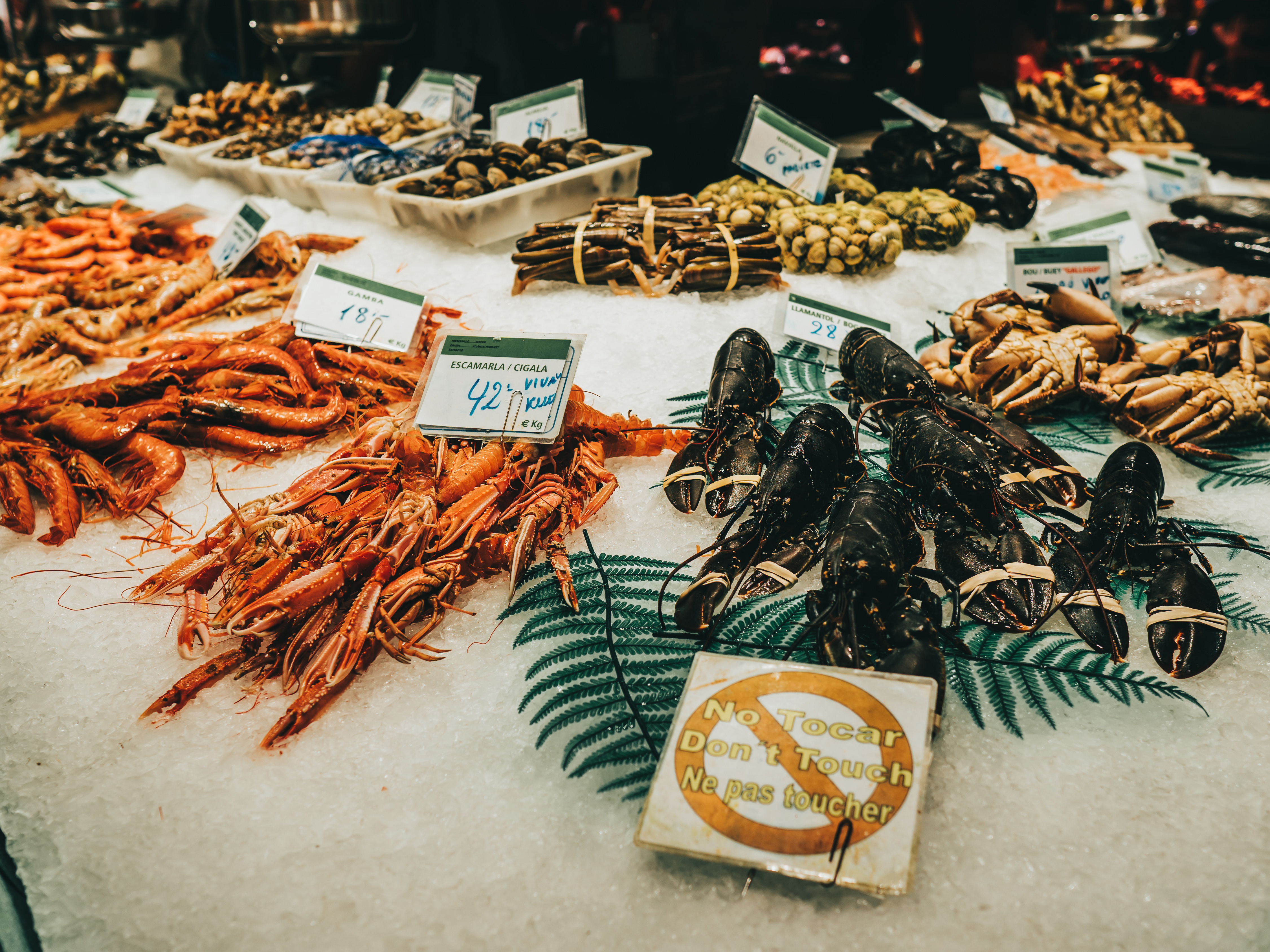 Virus Makes Lobsters So Cheap That Sellers Face a Fatal Blow