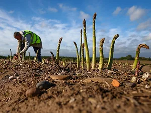 Technology Promises to Transform Farm and Food Industries
