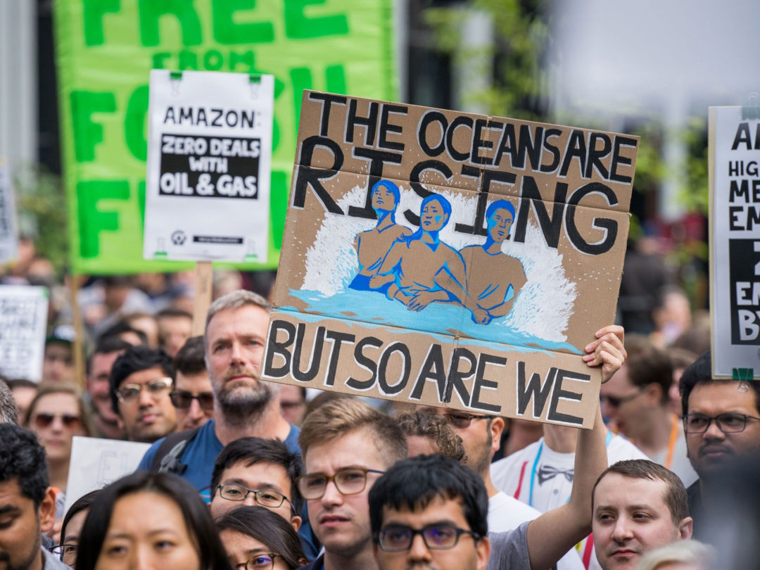 Amazon Tries to Make the Climate Its Prime Directive