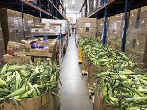 Food Bank