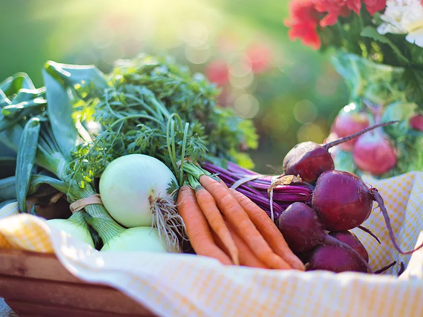 vegetables