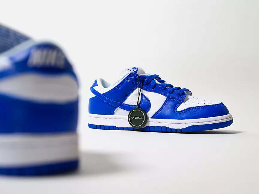 Two Nike Inc. brand shoes.