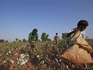 child labor