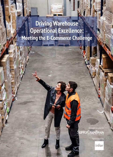 Driving Warehouse Operational Excellence: Meeting the E-Commerce Challenge