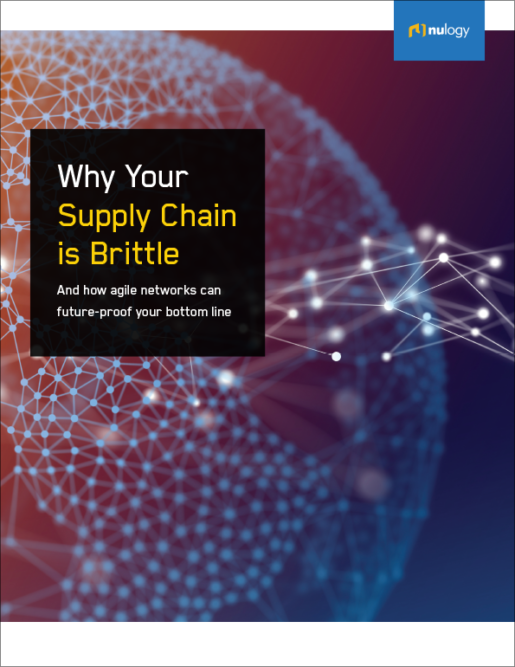 Why Your Supply Chain is Brittle