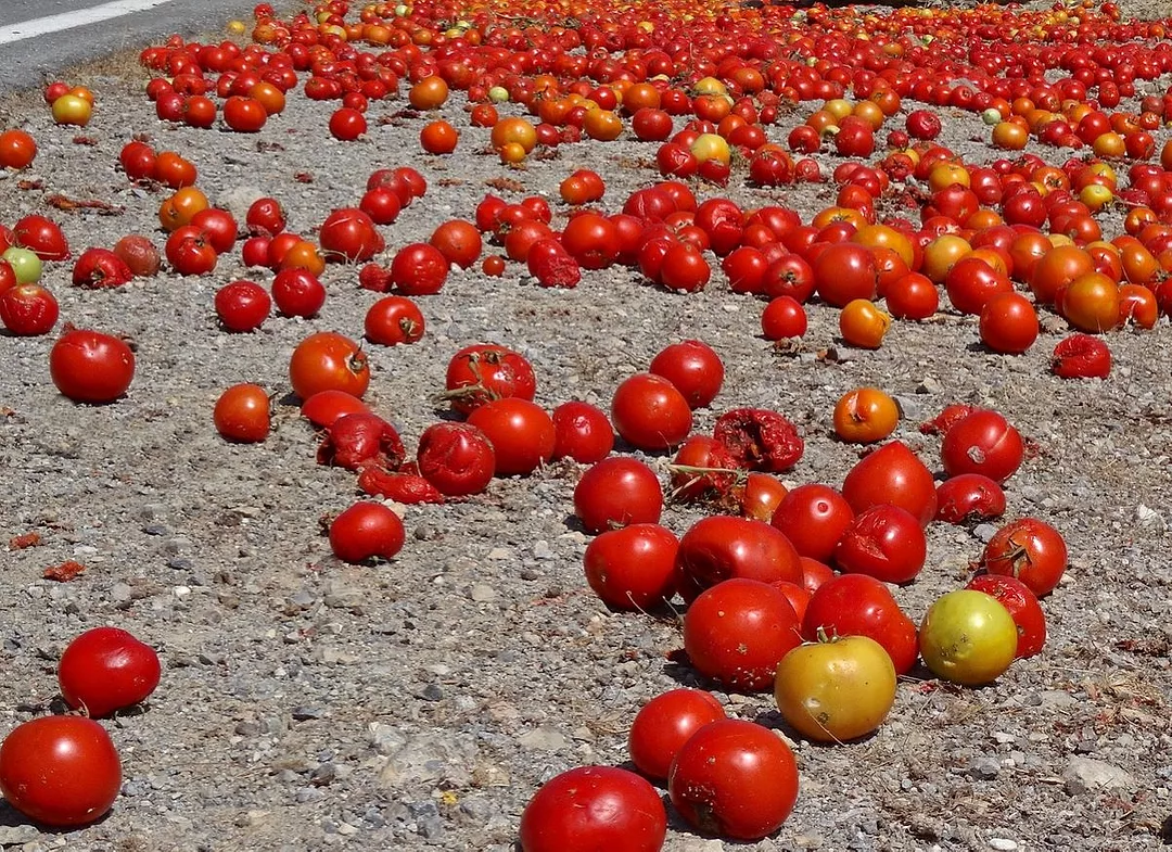 SPILLED TOMATOES iStock-498079313.jpg