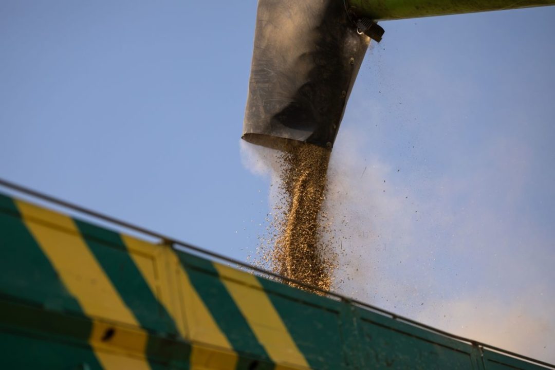 GRAIN POURS FROM A HOPPER INTO A TRAIN CONTAINER
