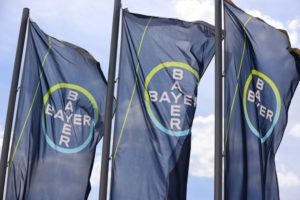 A ROW OF THREE FLAGS BEARING THE BLUE AND YELLOW BAYER LOGO FLUTTER IN THE BREEZE