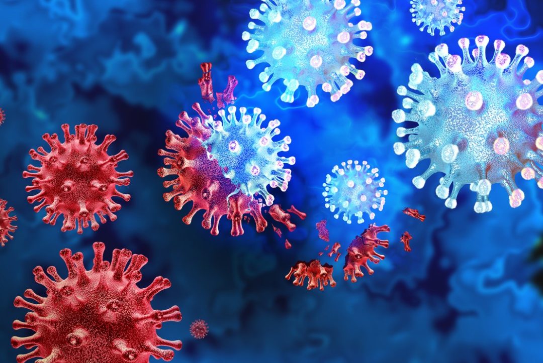 EXTREME CLOSE-UP OF A NUMBER OF THE CORONAVIRUS CROWNS, SOME BATHED IN A BRIGHT BLUE LIGHT