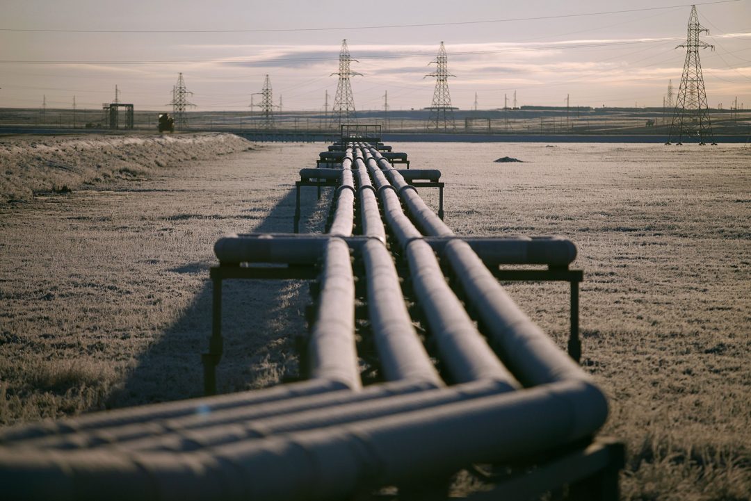 A CLUSTER OF GAS PIPELINES, SET ON THE GROUND, SNAKE INTO THE DISTANCE