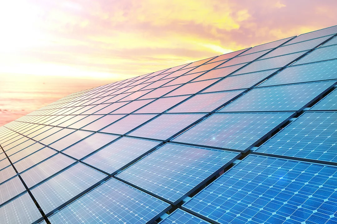 A close-up of solar panels can be seen in front of a sunset. Photo: iStock.com/JONGHO SHIN