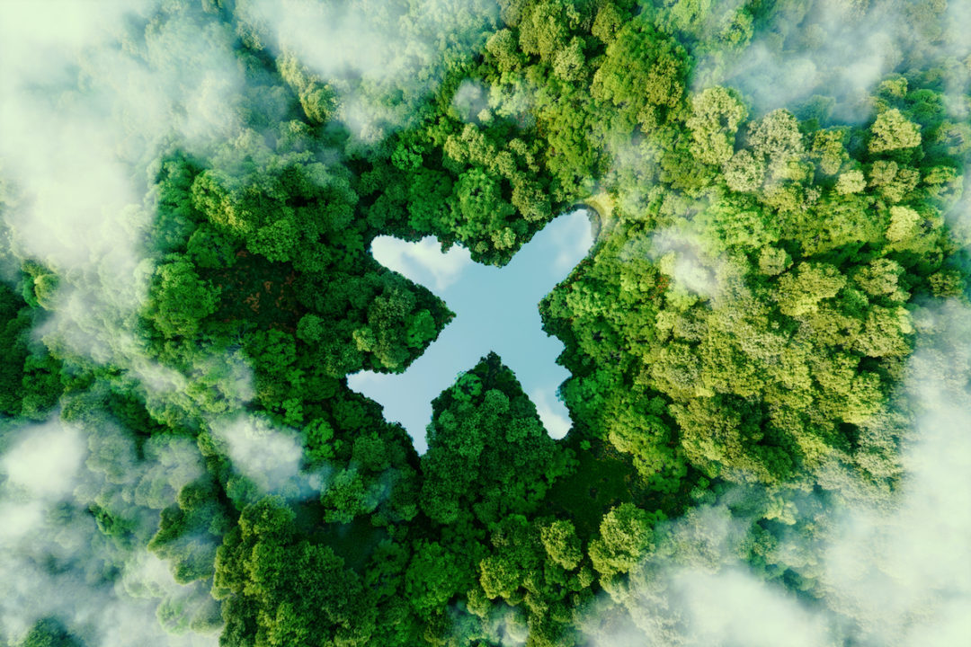 A lake in the shape of an airplane can be seen in the middle of an untouched forest. Photo: iStock.com/Petmal