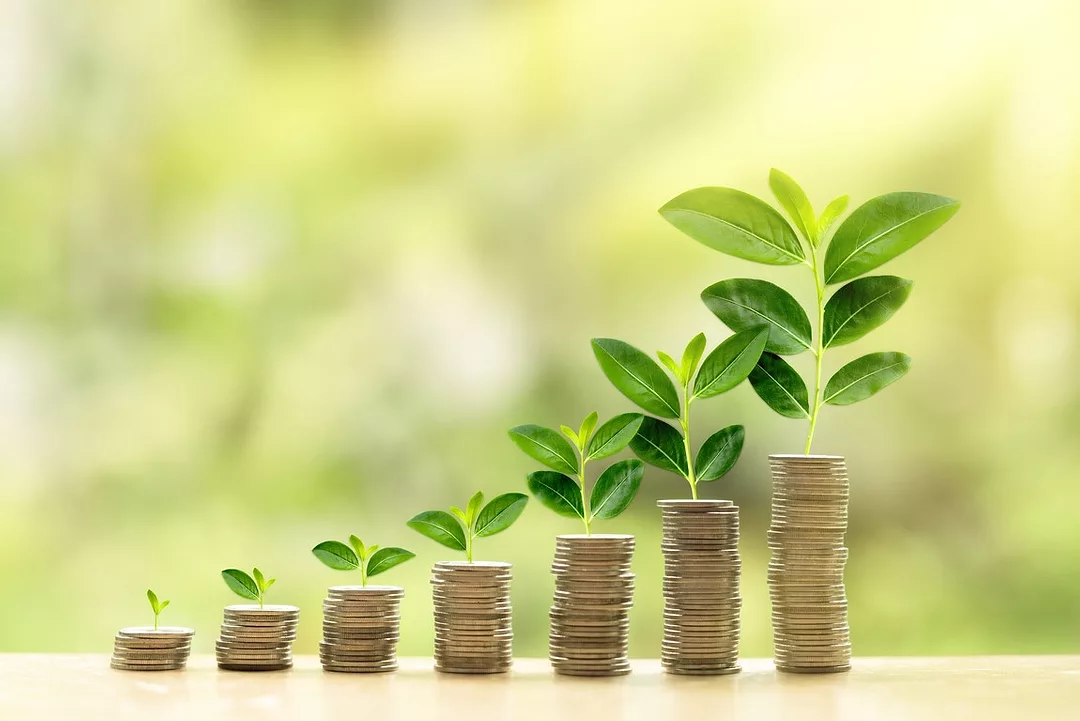 GREEN PLANTS OF INCREASING SIZES SPRING FROM INCREASING PILES OF COINS