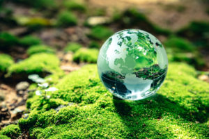 A CRYSTAL GLOBE OF EARTH IS SITTING ON TOP OF A MOSS-COVERED ROCK SURROUNDED BY SEVERAL MORE ROCKS THAT ARE PARTIALLY-COVERED IN MOSS.