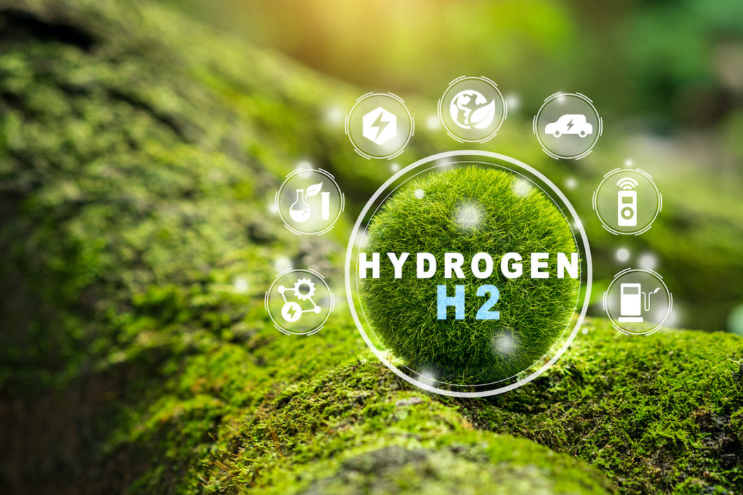 A CIRCLE WITH A WHITE BORDER SHOWS A CLOSE UP OF THE MOSS-COVERED ROOTS OF A TREE WITH THE WORDS "HYDROGEN H2" INSIDE OF IT. SURROUNDING THE CIRCLE ARE SEVEN SMALLER CIRCLES WITH VARIOUS ESG SYMBOLS INSIDE OF EACH ONE.