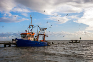 A BLUE, WHITE AND RED FISHING BOAT IS STATIONED NEXT TO A DILAPIDATED DOCK WITH MANY SEAGULLS FLYING ABOVE THE VESSEL.