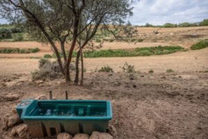 A WATER TROUGH CAN BE SEEN ON A FARM SITUATED IN A DROUGHT-STRICKEN AREA.