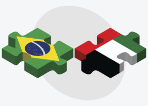 TWO PUZZLE PIECES DEPICTING THE BRAZILIAN AND UAE FLAGS SIT NEXT TO EACH OTHER IN FRONT OF A SLANTED GREY OVAL.
